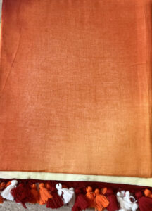 PURNIMA (Orange and off-white saree)