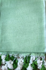 GAIA (Light green saree)